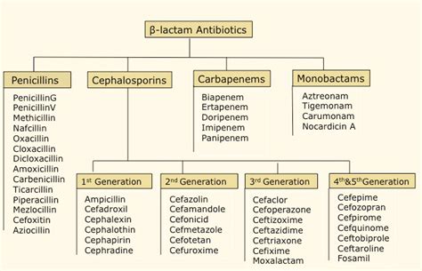 list beta lactam antibiotics|List of Antibiotics .